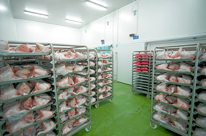 Cámara de Frío para Pollo