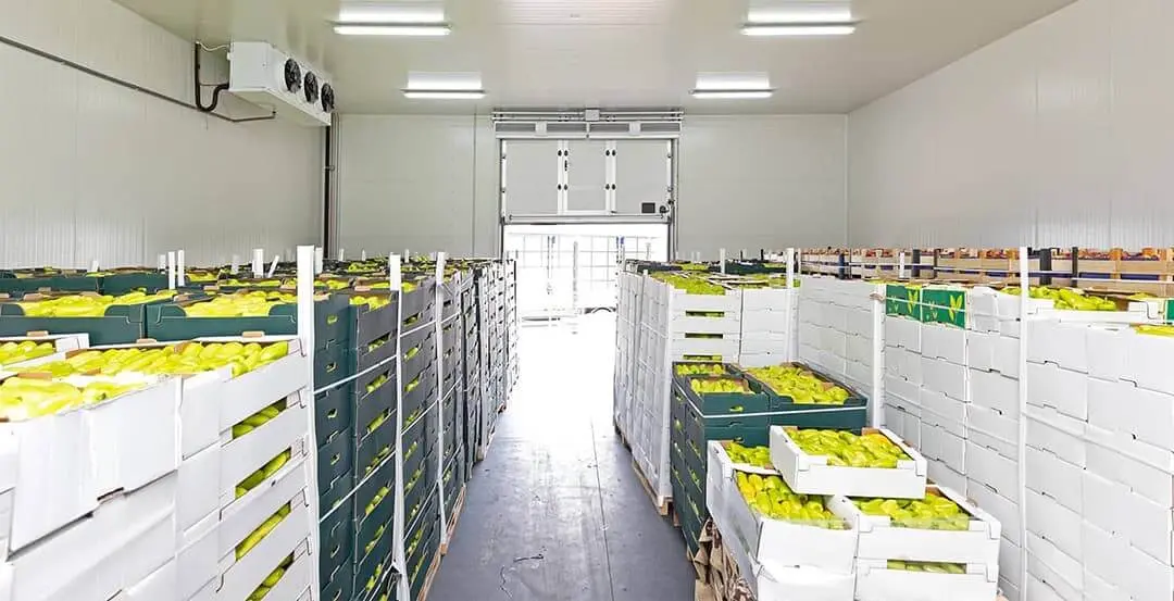 Cámaras de Maduración