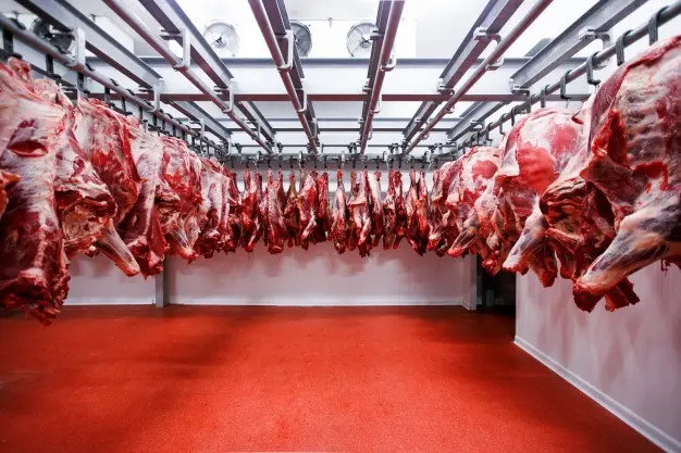 Cámaras de carnes