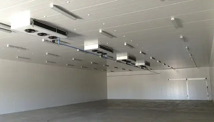 Cámaras para pescaderías